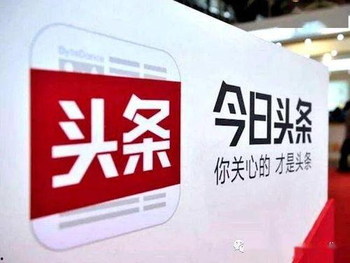 沈阳今日头条最新爆料,重磅爆料！揭秘某神秘项目背后真相